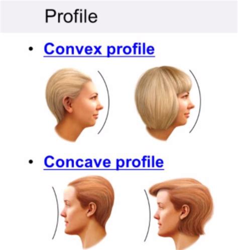 Convex profile hairstyles | Face shape hairstyles, Cool hairstyles, Hair cutting techniques