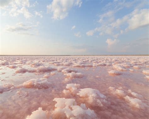 What's the Difference Between Sea Salt and Pink Salt?