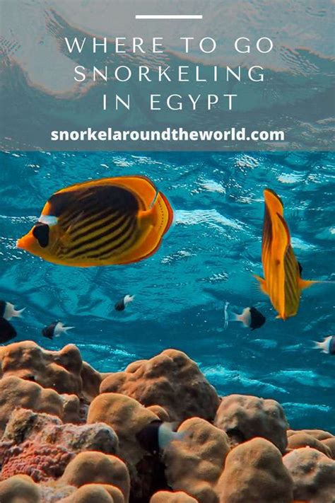 Snorkeling in Egypt - Complete "Where to go" guide