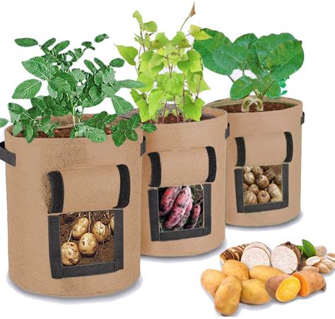 You Can Grow Your Own Vegetables with Potato Grow Bags Instead of a Garden and I Am Trying It ...