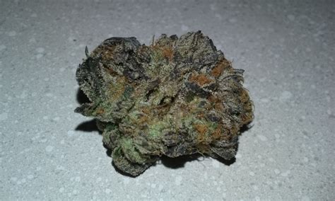 Scooby Snacks | Marijuana Strain Reviews | AllBud