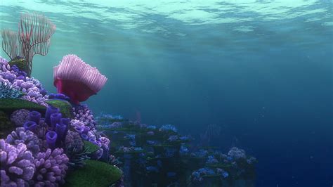 Nemo [], Finding Nemo HD wallpaper | Pxfuel