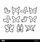 insect Butterfly Outline Vector Nature coloring Book  sketch template