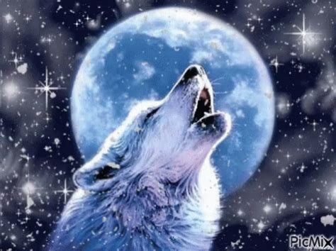 Wolf with Snow | Wolf howling, Wolf howling at moon, Wolf wall art