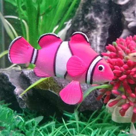 1pc Plastic Fake Fish Floating Artificial Fish Pet Fish Decoration Latest Funny Swim fish ...