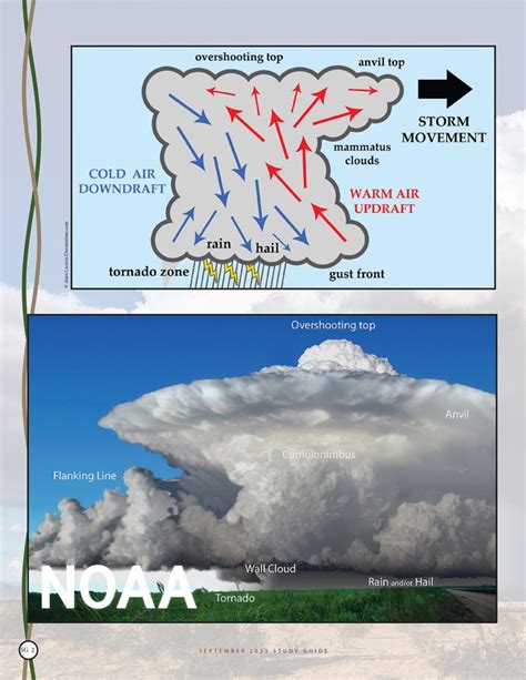 Anatomy of a Thunderstorm | Nature Friend Magazine