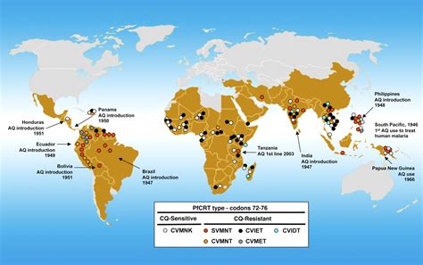 Geographic patterns of Plasmodium falciparum drug resistance distinguished by differential ...