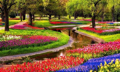 Keukenhof Gardens-Lisse (Netherlands South Holland) cruise port schedule | CruiseMapper