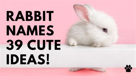 🐰 Rabbit Names 💚 39 CUTE 🥕 BEST ️ Ideas | Names - YouTube