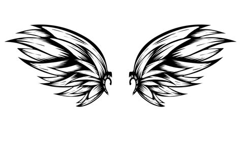 I'm Black and white bird wings design logo 8013398 Vector Art at Vecteezy