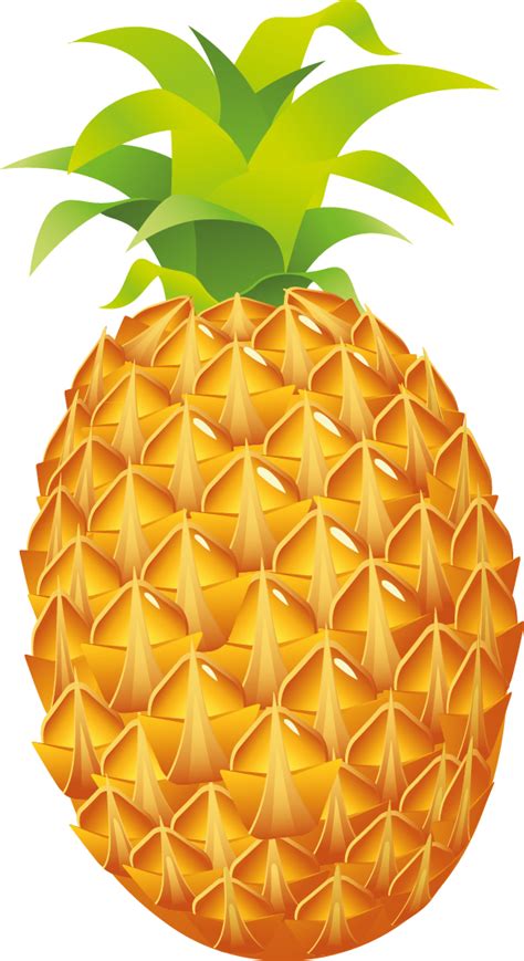 Pineapple Fruit Clip Art