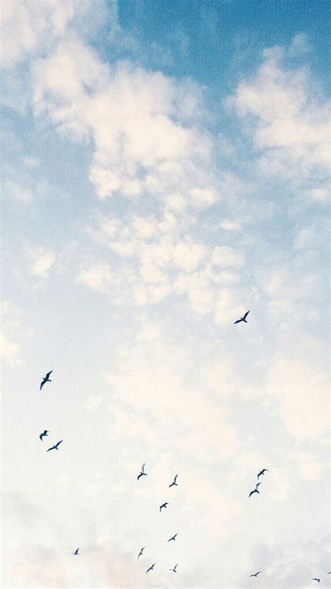 Aesthetic Birds Wallpapers - Wallpaper Cave