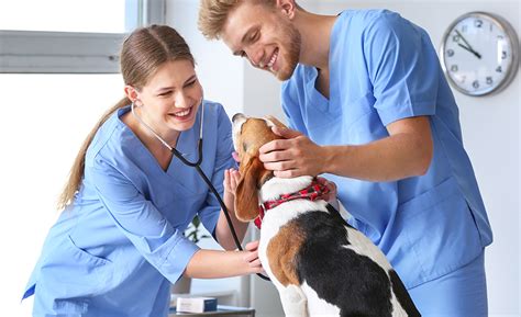 Online Veterinary Assistant from Valdosta State University