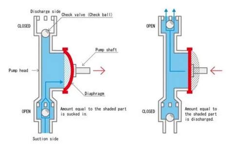 Unveiling the Diaphragm Pump Diagram Decoded | by progryndpumps | Medium