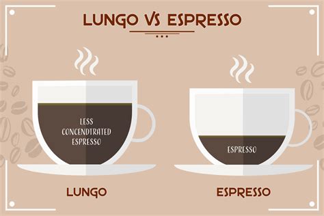 Lungo vs Espresso: What's the Difference? - Coffee Channel