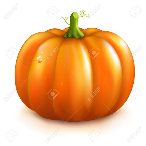 squash clipart - Clip Art Library