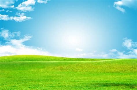 Sky Green Grass Backgrounds, sky and grass HD wallpaper | Pxfuel