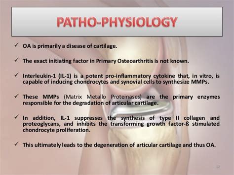 Osteoarthritis pathophysiology & updated management