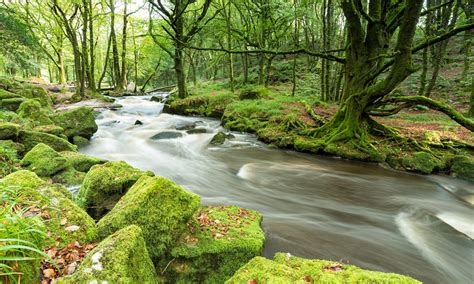 cropped-bigstock-forest-river-panorama-75439642.jpg – SP Civil Design