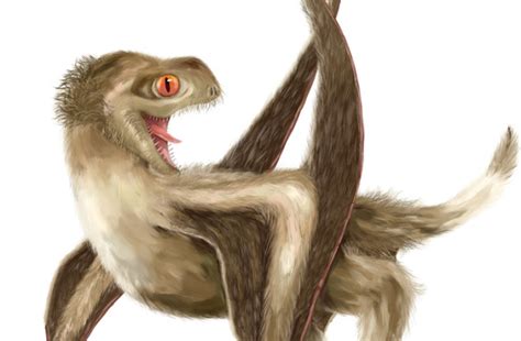 Did All Dinosaurs Have Feathers? | Discover Magazine