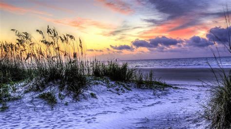 Sunset Beach Grass Wallpapers - Top Free Sunset Beach Grass Backgrounds ...