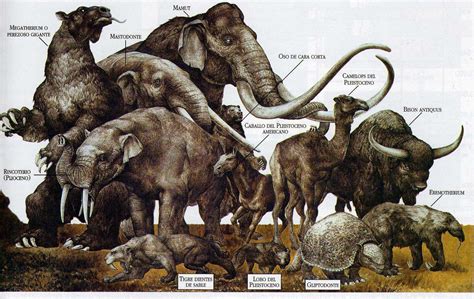 Pleistocene Megafauna List