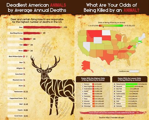 What are the deadliest states for animal deaths in the US - InsideHook