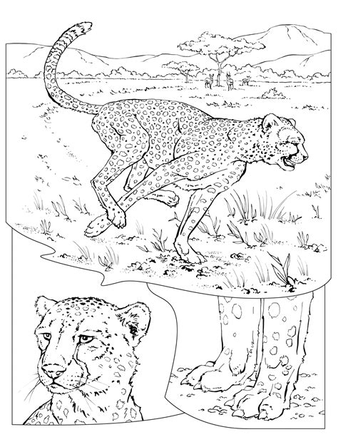 47 Animal Coloring Pages National Geographic Best HD - Coloring Pages Printable
