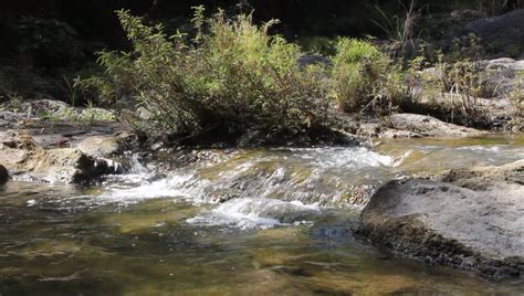 Small Waterfall in Rivert, Phetchabun Stock Footage Video (100% Royalty-free) 3226606 | Shutterstock