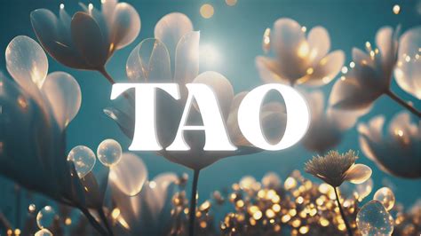 TAO | 道 | Soothing and Relaxing Soundscape | Flowing Water Meditation ...