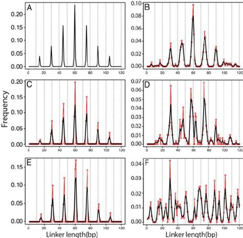 Linker DNA length distribution predicted for simulated dinucleosome ...