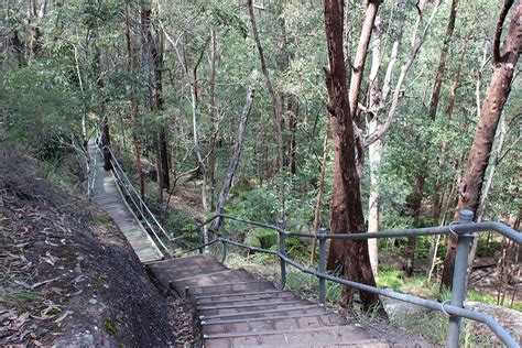 Springwood Conservation Park Springwood | Must Do Brisbane