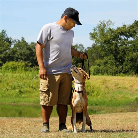 Dog training Georgetown, Texas | Canine Behavior Solutions