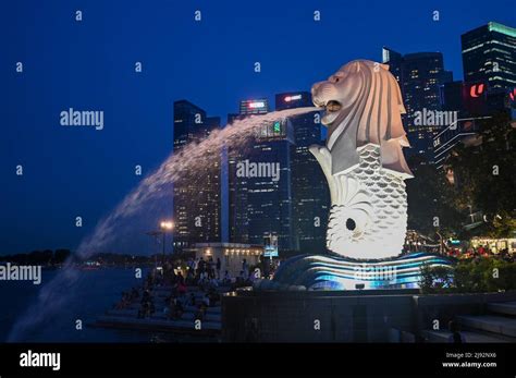 Merlion Park, a iconic statue in Singapore at Night. Merlion is a mythical creature with a lion ...