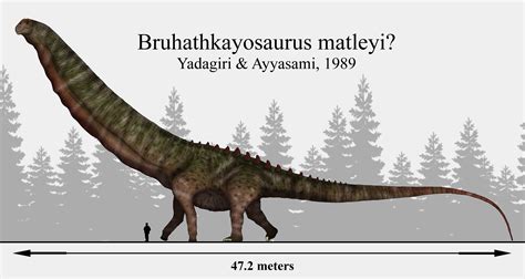 Probably a Tree: Bruhathkayosaurus matleyi by RhysDylan01 | Prehistoric animals, Prehistoric ...