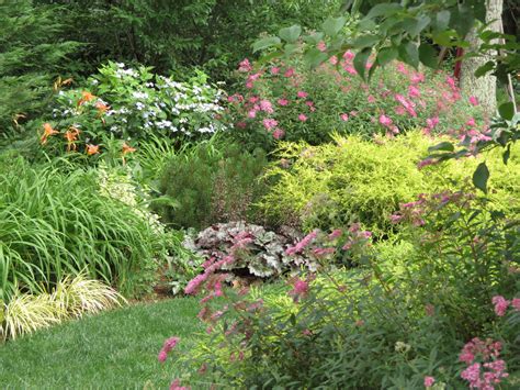 Our Early Summer Garden | Garden plant ideas, Plants, Spirea companion plants