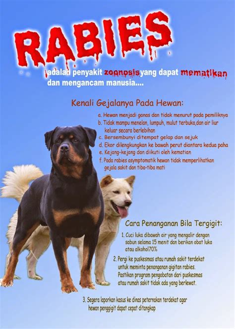 WASPADA RABIES PADA ANJING - MEDIA PENYULUHAN PERTANIAN