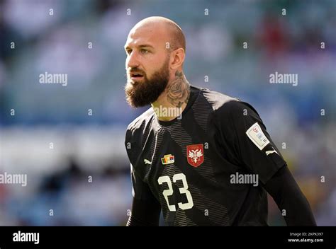 Serbia goalkeeper Vanja Milinkovic-Savic during the FIFA World Cup Group G match at the Al ...