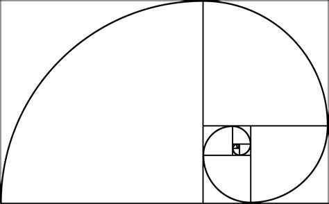 Fibonacci Spiral in Nature