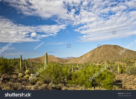 Sonoran Desert Landscape Stock Photo 215281657 : Shutterstock