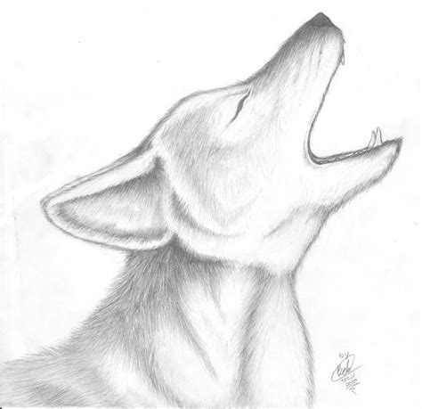 Howling Coyote by ChibiLuka on DeviantArt