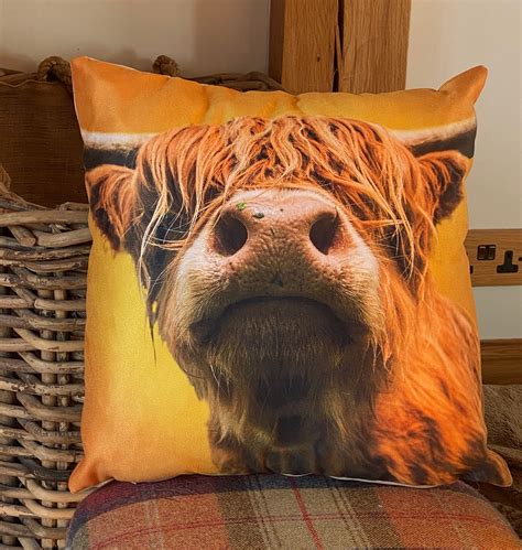 Highland Cow Cushion Lovely Highland Cow on This Cushion | Etsy UK