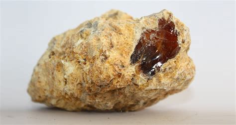 Ambergris, The Valuable 'Whale Vomit' That's Been Compared To Gold