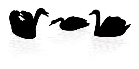 Swans floating silhouettes design 12954687 Vector Art at Vecteezy