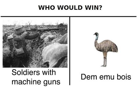 the emu war meme - Google Search | Emu war, Historical humor, History memes