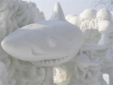 shark snow sculpture | Ice/ Snow sculptures | Pinterest | Funny, Sharks and Sculpture