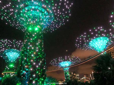 How to See the Gardens by the Bay Light Show (Read This First!)