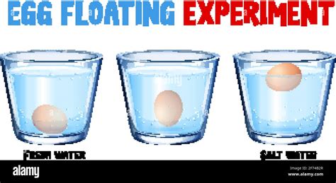 Science experiment with egg float test illustration Stock Vector Image & Art - Alamy