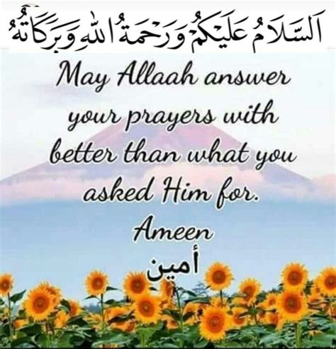 Pin by Deirdré Burness on A Islamic Greetings | Morning quotes, Good ...