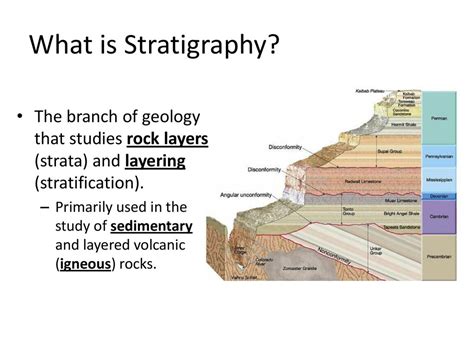 Definition Of Stratigraphic Dating – Telegraph